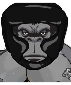 Full Face Headgear