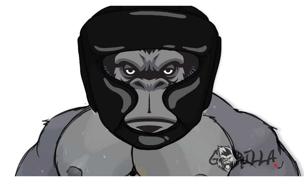 Full Face Headgear