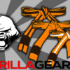 Orange - Youth BJJ Ranking Belts
