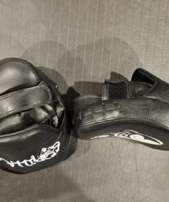 Curved Focus Mitts